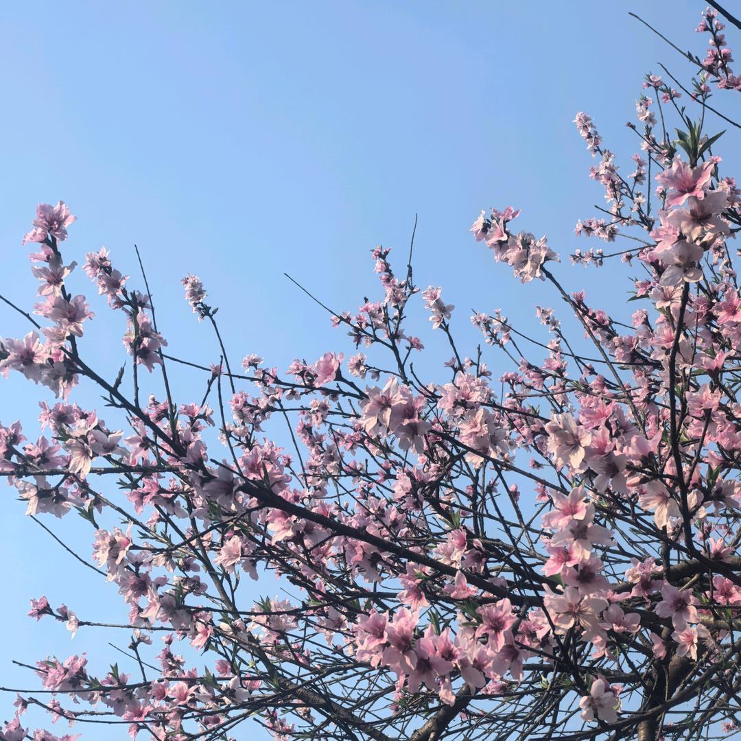 平凡