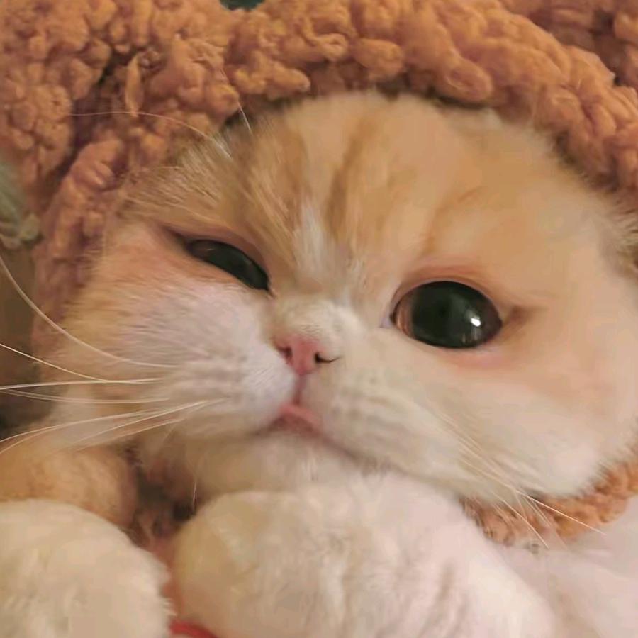 曲靖开发区运娅百货店