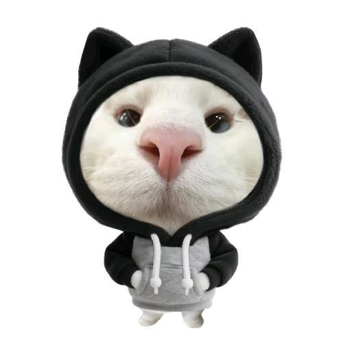 槑头脑🐱