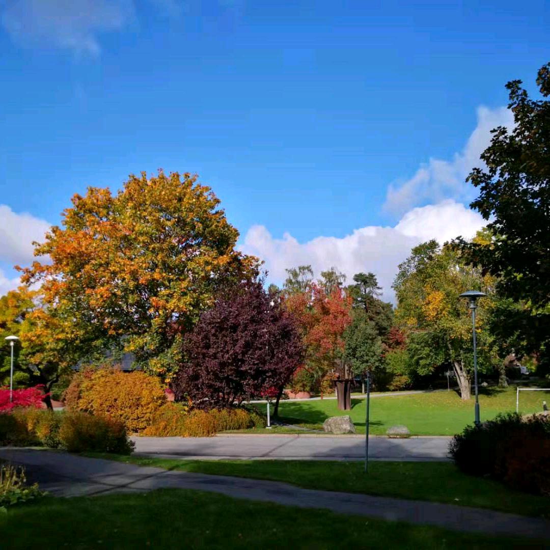 钢城赞歌（开拓者）