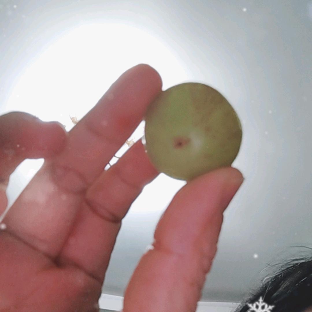 追风的小少年头像