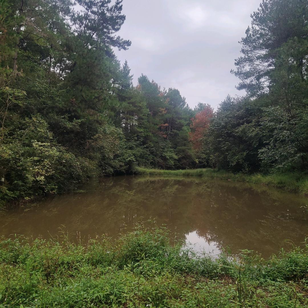 探路者(农村创业刘哥)