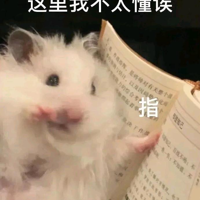 鼠啊鼠