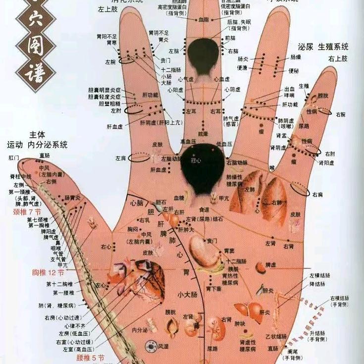 伤寒论深度求索