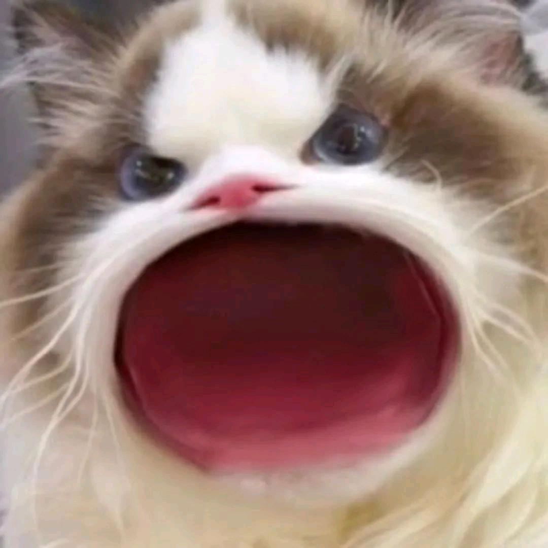 偶尔也发呆