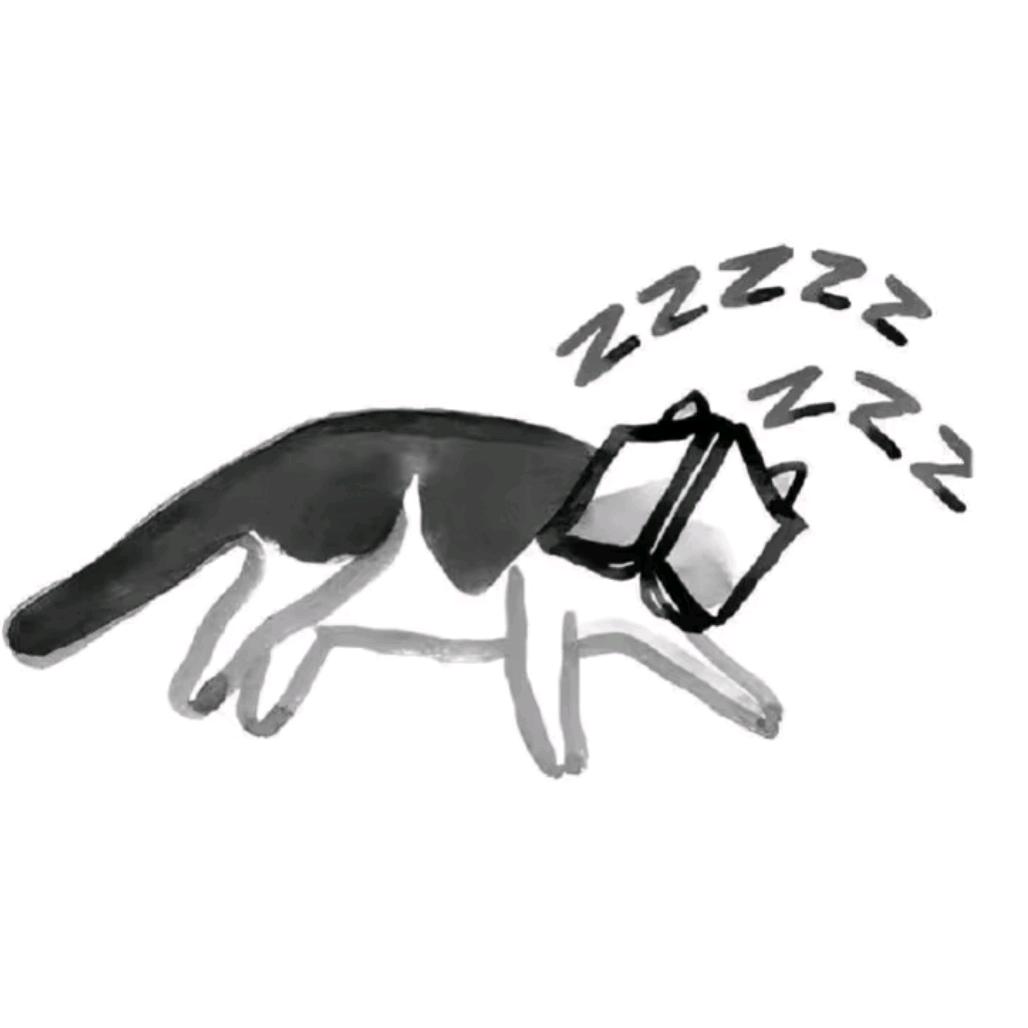 𝖈𝖔𝖚𝖗𝖆𝖌𝖊