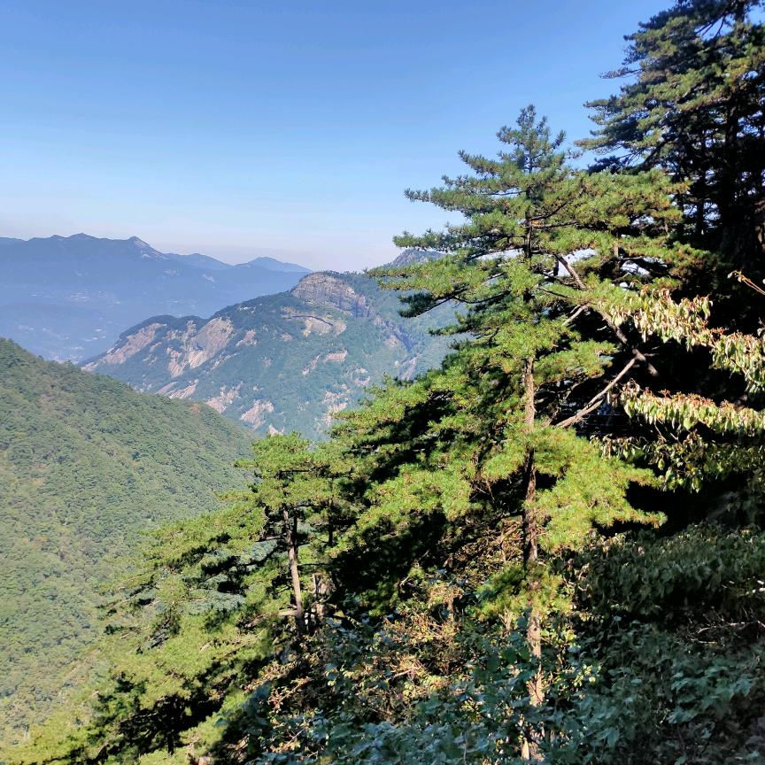 美好的一天 🍔