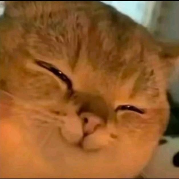 Oo。