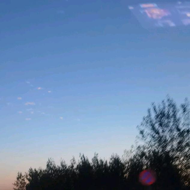 ᝰꫛꫀꪝMꫀꫀt ꪗꪮꪊ🐮