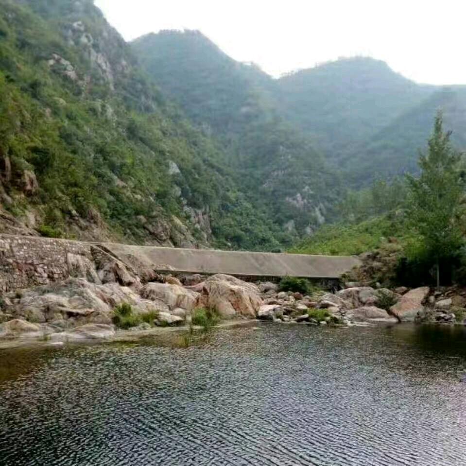 含义飞翔