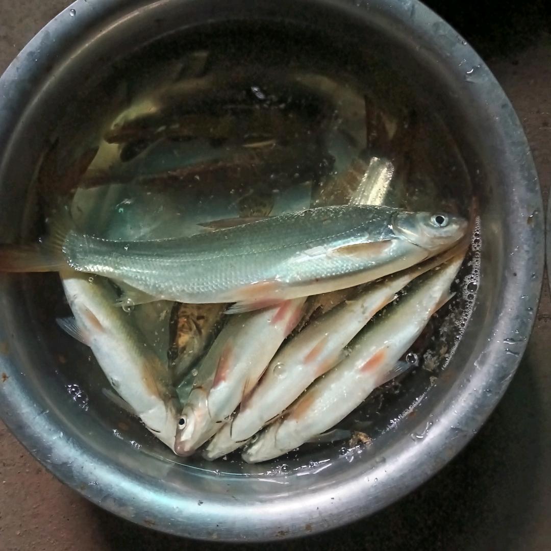 水电安装打墙有真心过一辈子的吗？