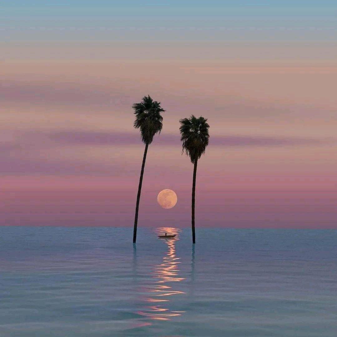 墨色流年