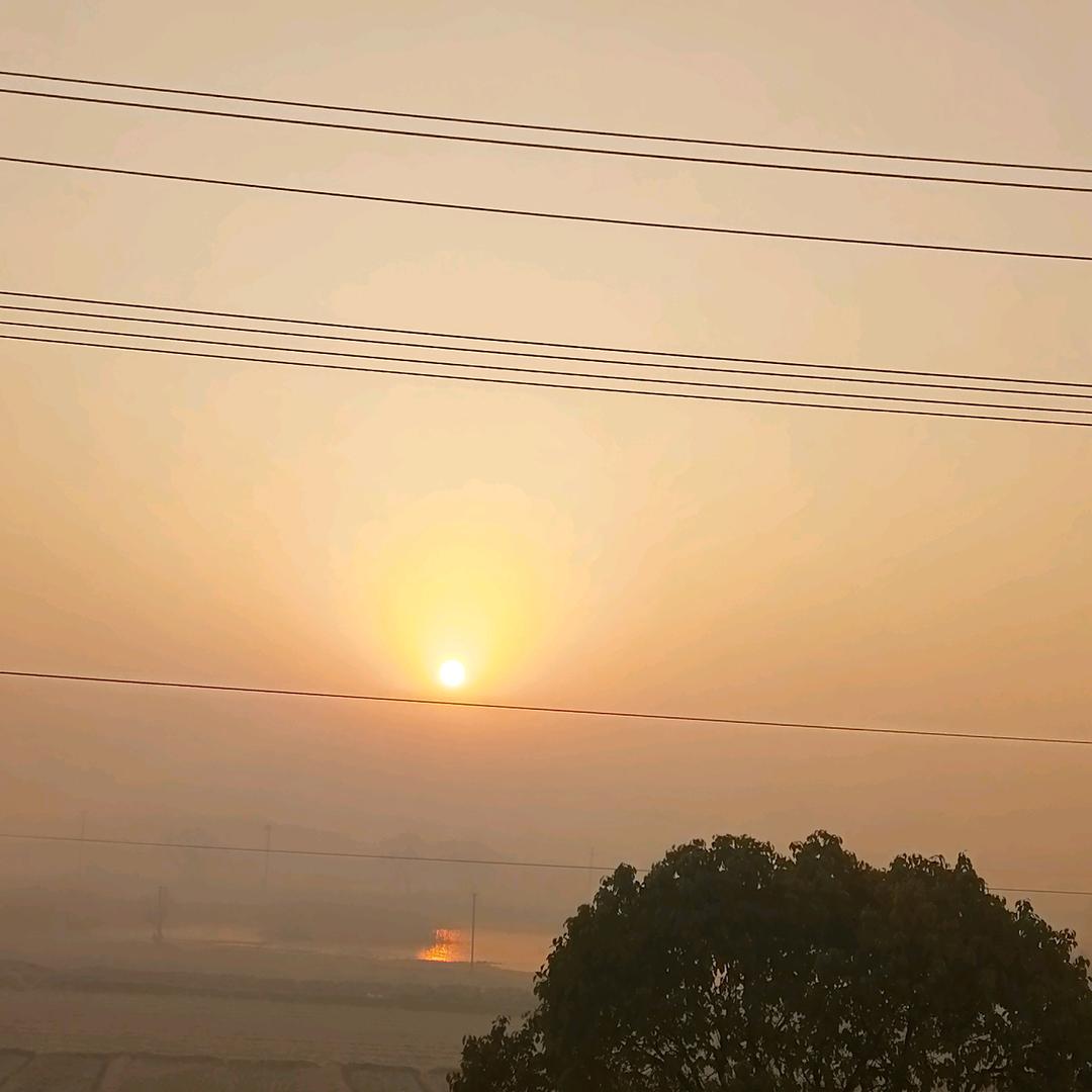 燕子