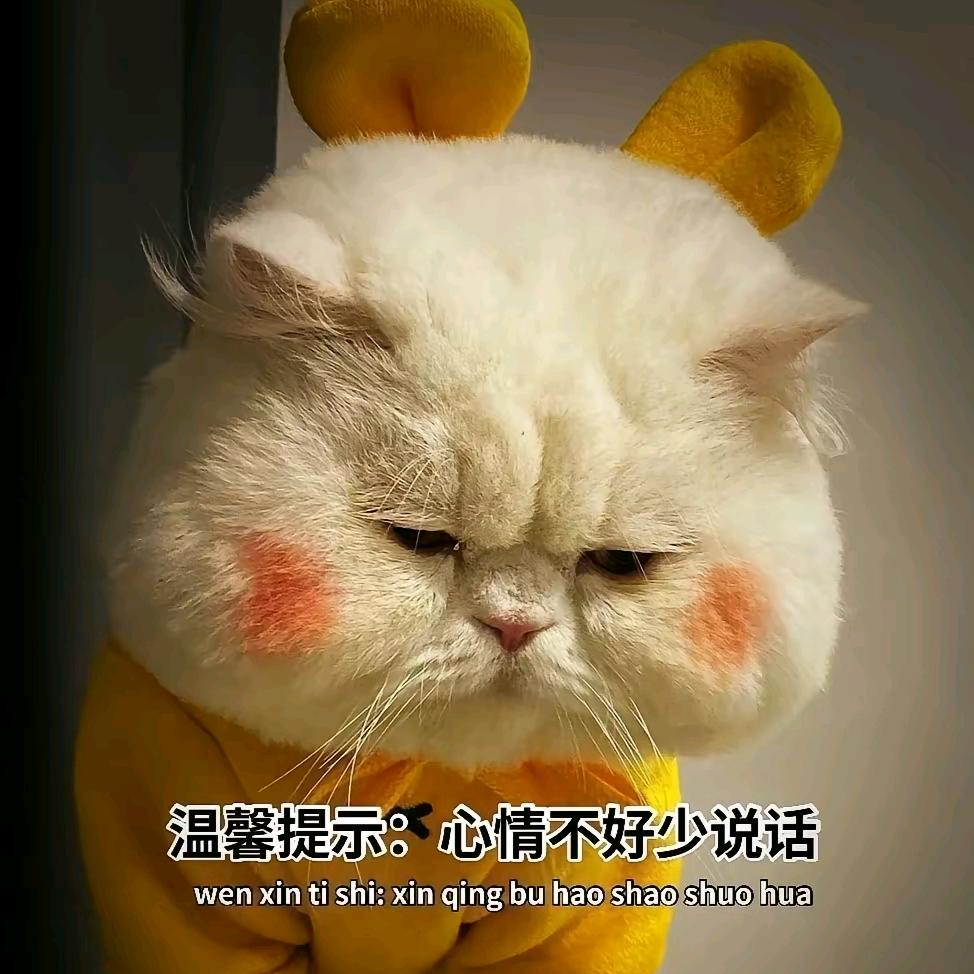 做个俗人吧