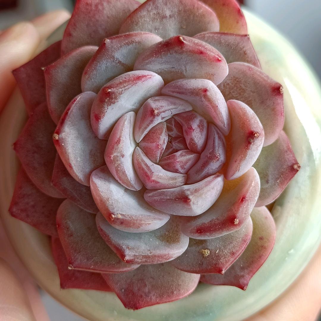 🌈别皱眉(๑><๑）