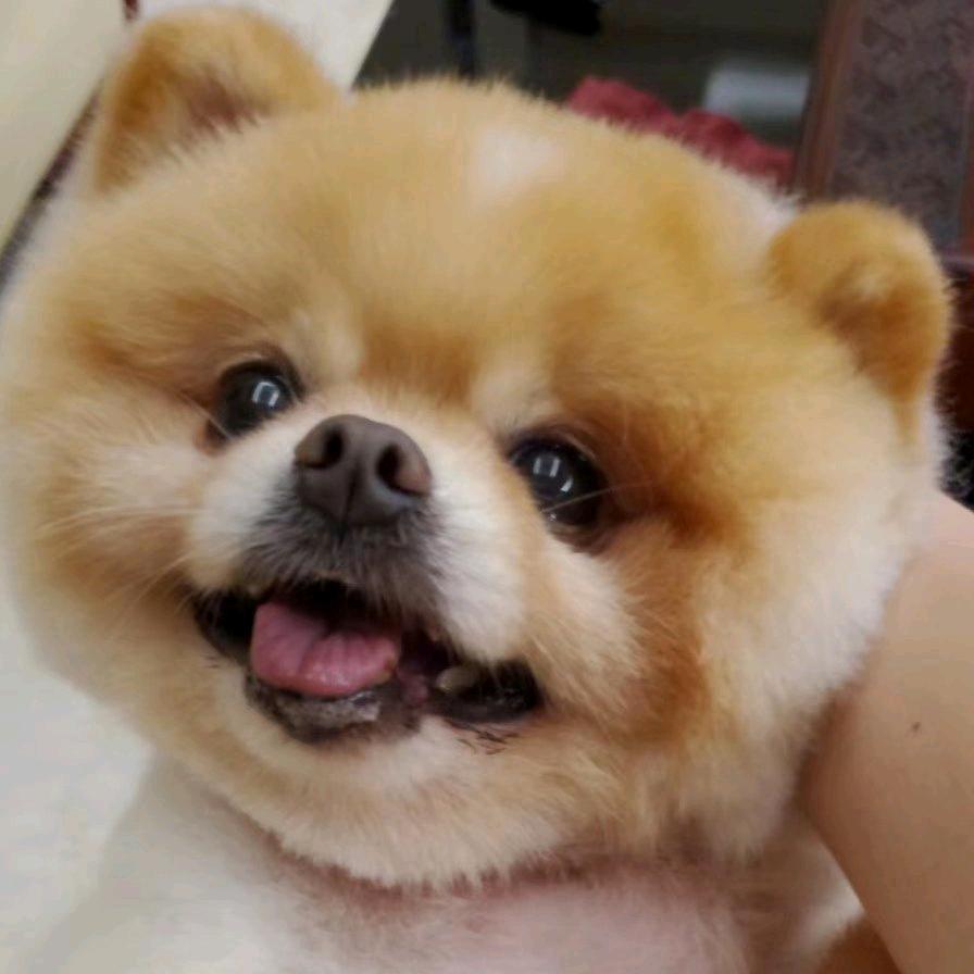 用户6863162885550