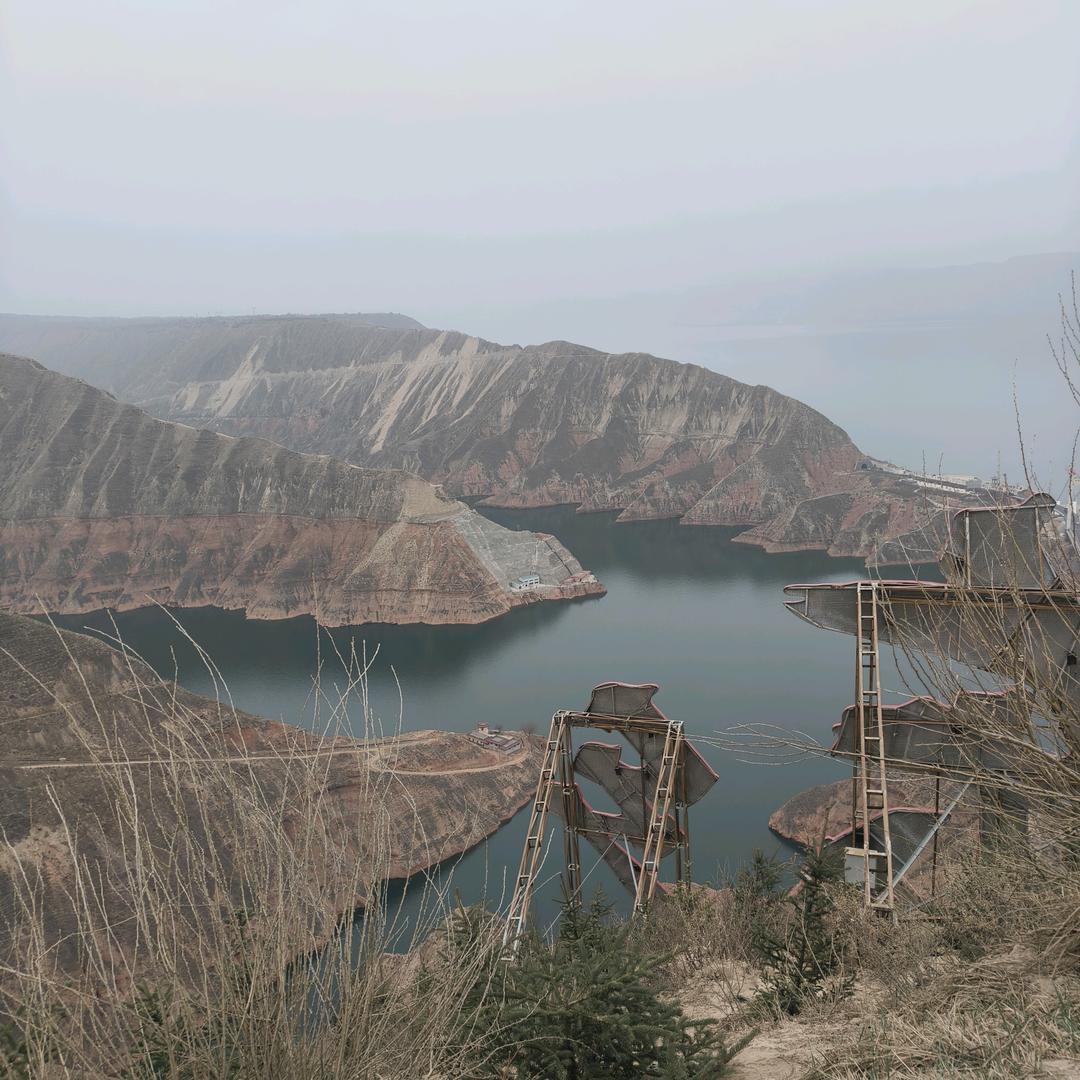 蛋蛋《绝境重生》