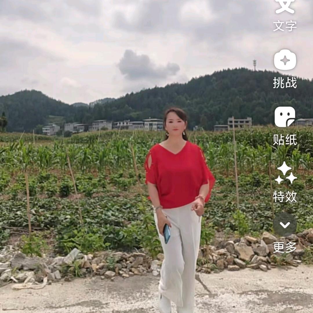 琴琴助力号（开播号在主页简介里）