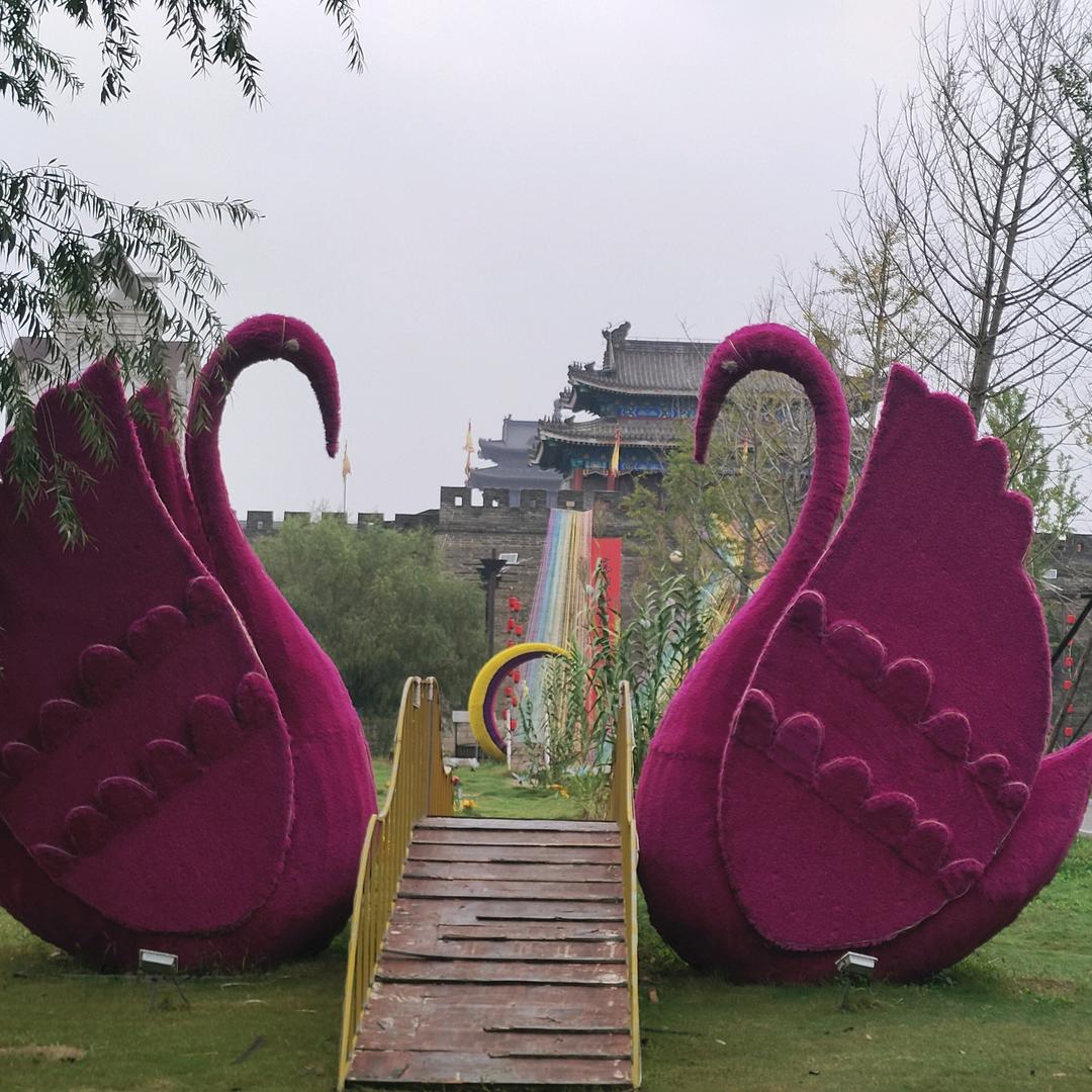 人生就是一场梦🐴