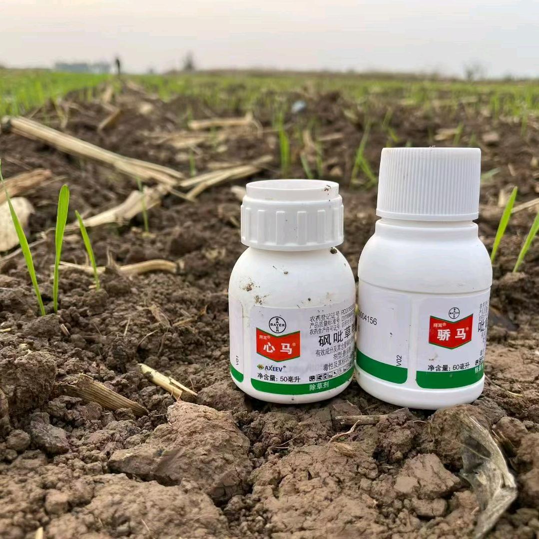 罗纹西街路南农资店