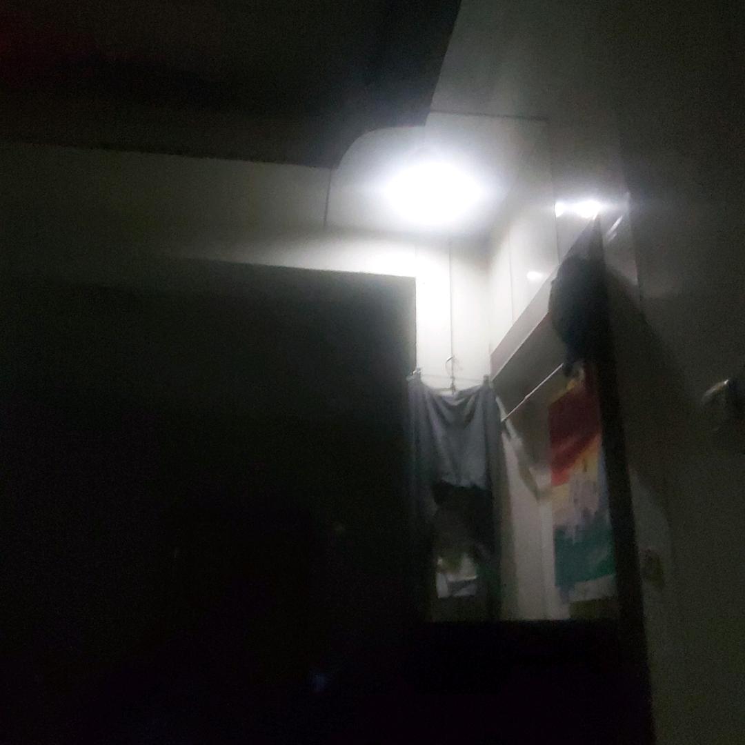 好风光
