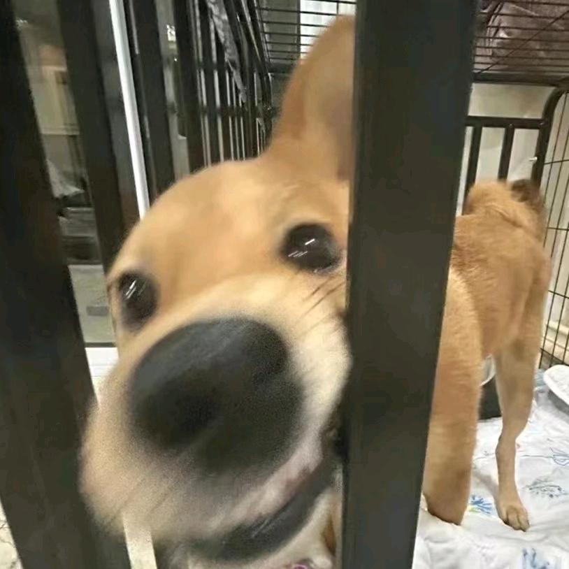 冬和扬