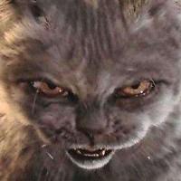 🌊༒ཻᏴ࿆Ꮻ࿆Ꭶ࿆Ꮥ࿆࿐