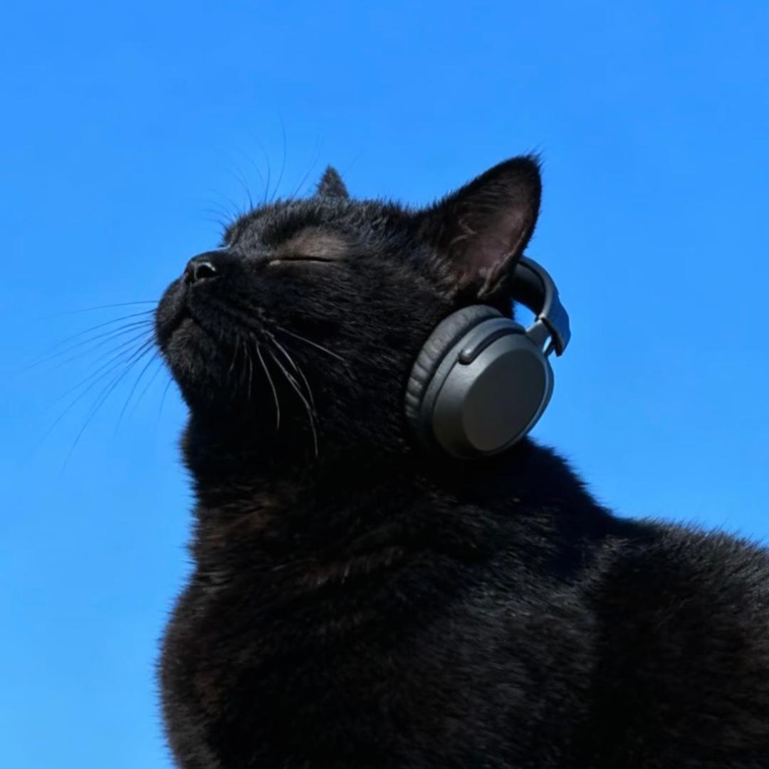 𝑽_𝑴𝑬𝟓𝟎