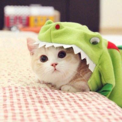 敏姐的生活流水账