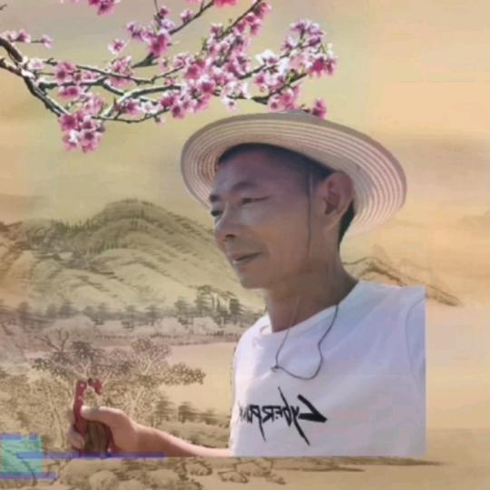 白云山段二娃绿色水果