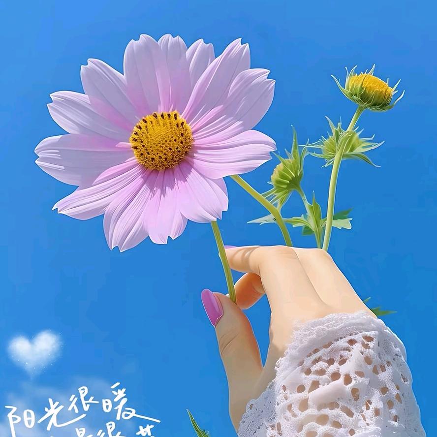 冰冷的夜晚