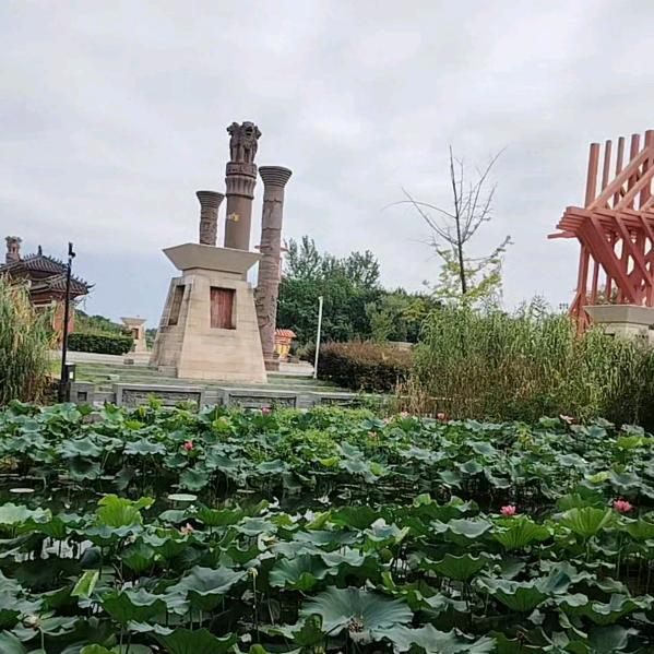 明天你好
