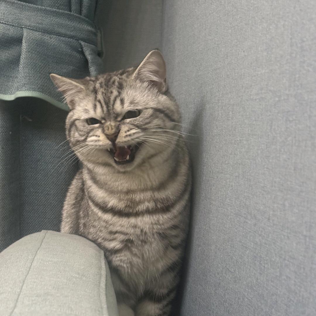 这种潇洒