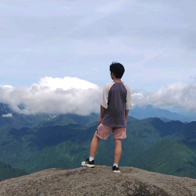宁静的风