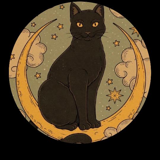 月光⑅ᵕ༚ᵕ˖˚☽