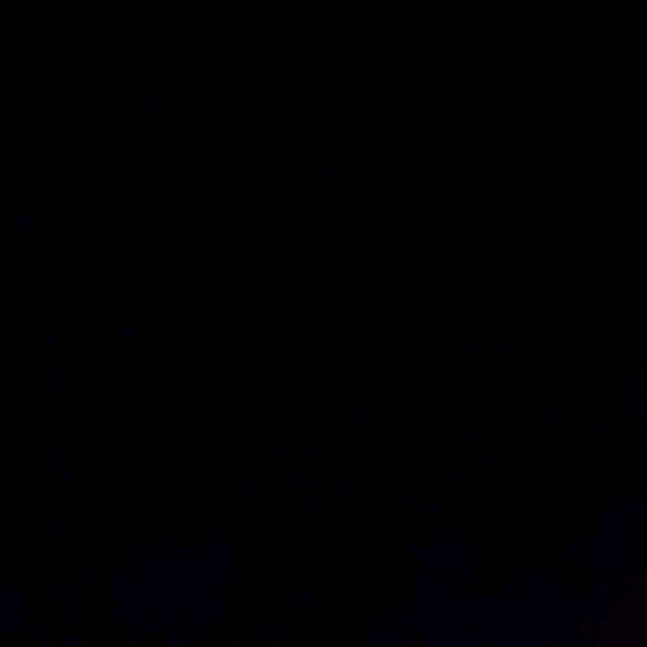 阳光彩虹小白马。