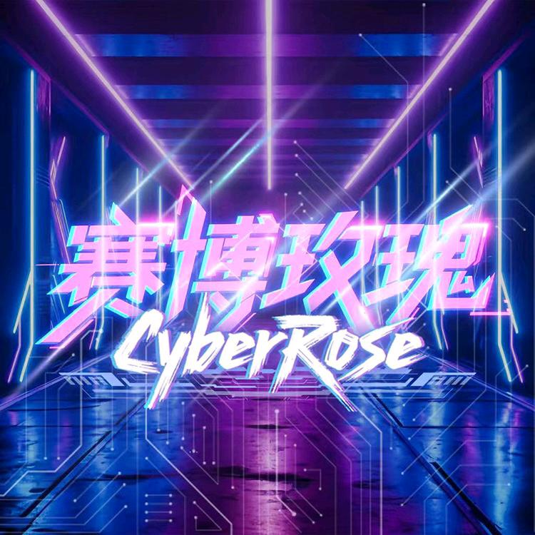 赛博玫瑰✨超级航母