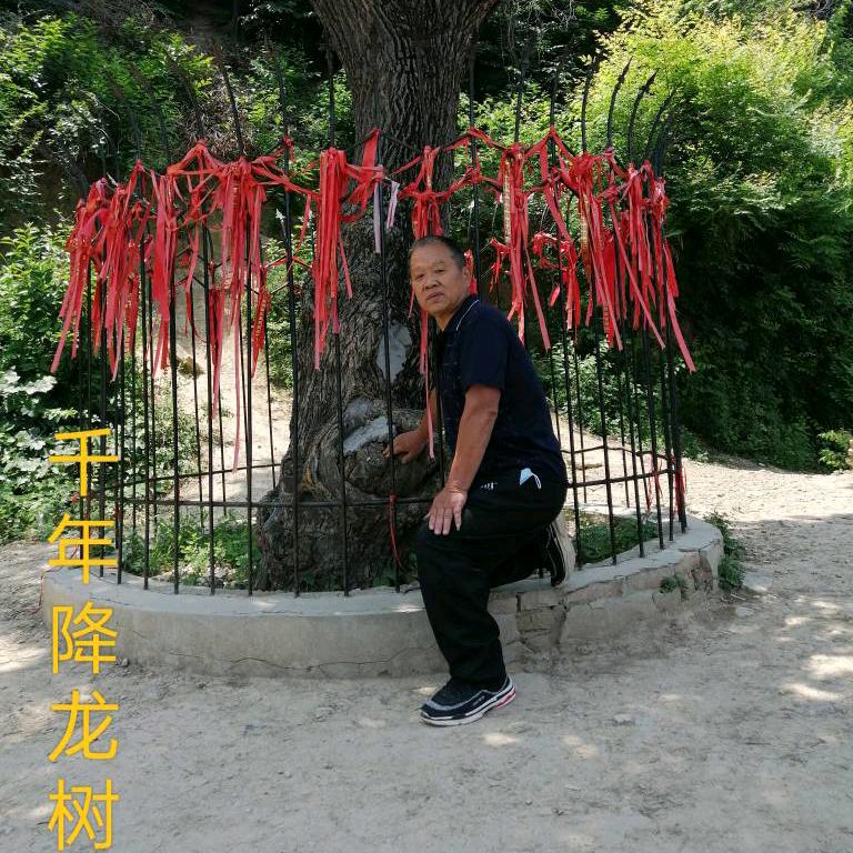 亮月长弓