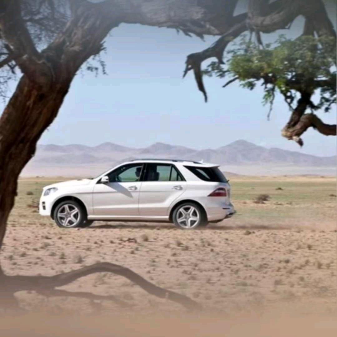 终是庄周梦了蝶你是恩赐也是劫