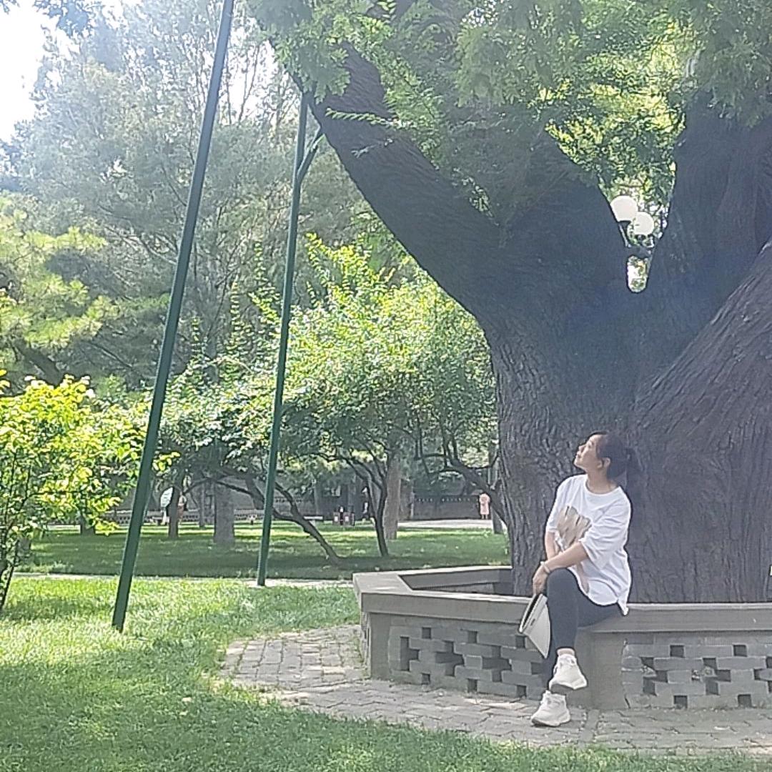 奔跑的妞妞