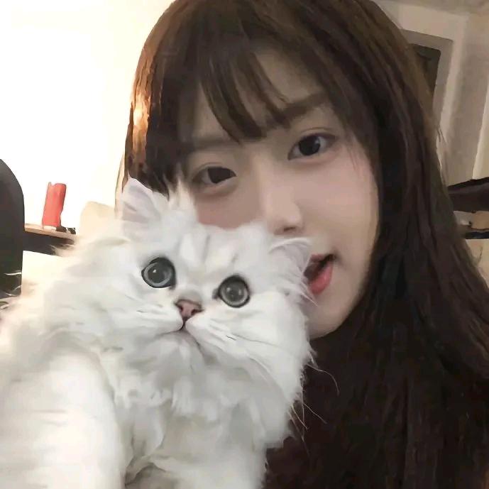 澪屿