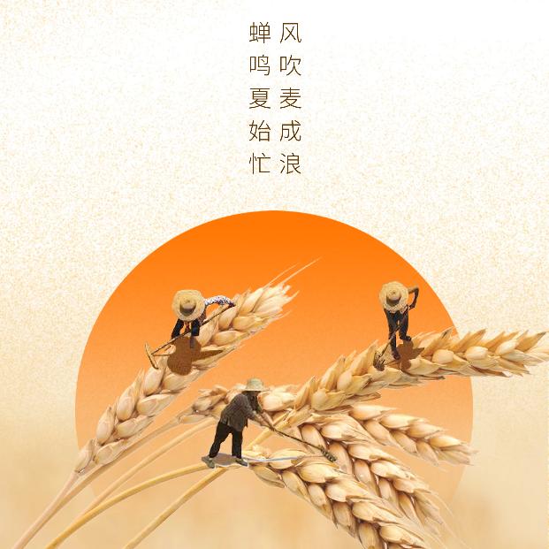 长信恒业信小福