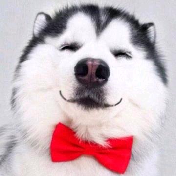 落花时节又逢君