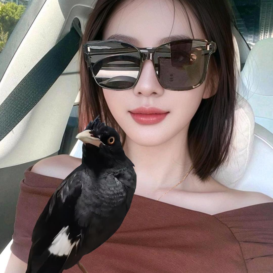 亿万顺霸鸟声🐦⬛