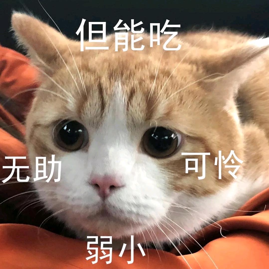 酸菜