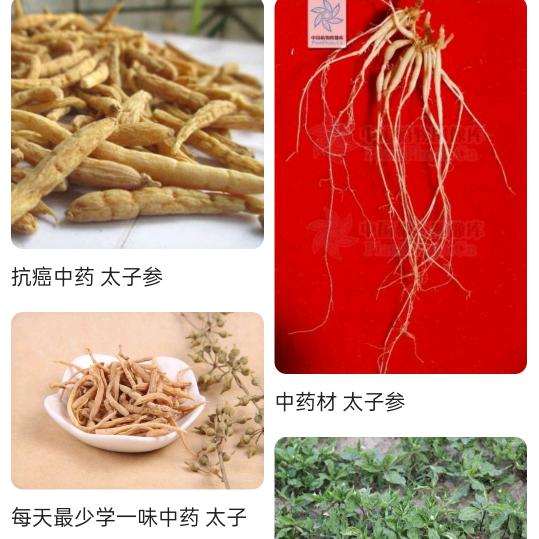 唐家旅游景点