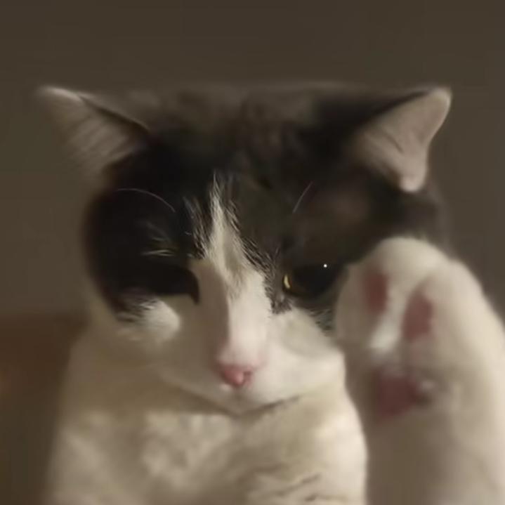 Joe小y（卓沅点赞版）