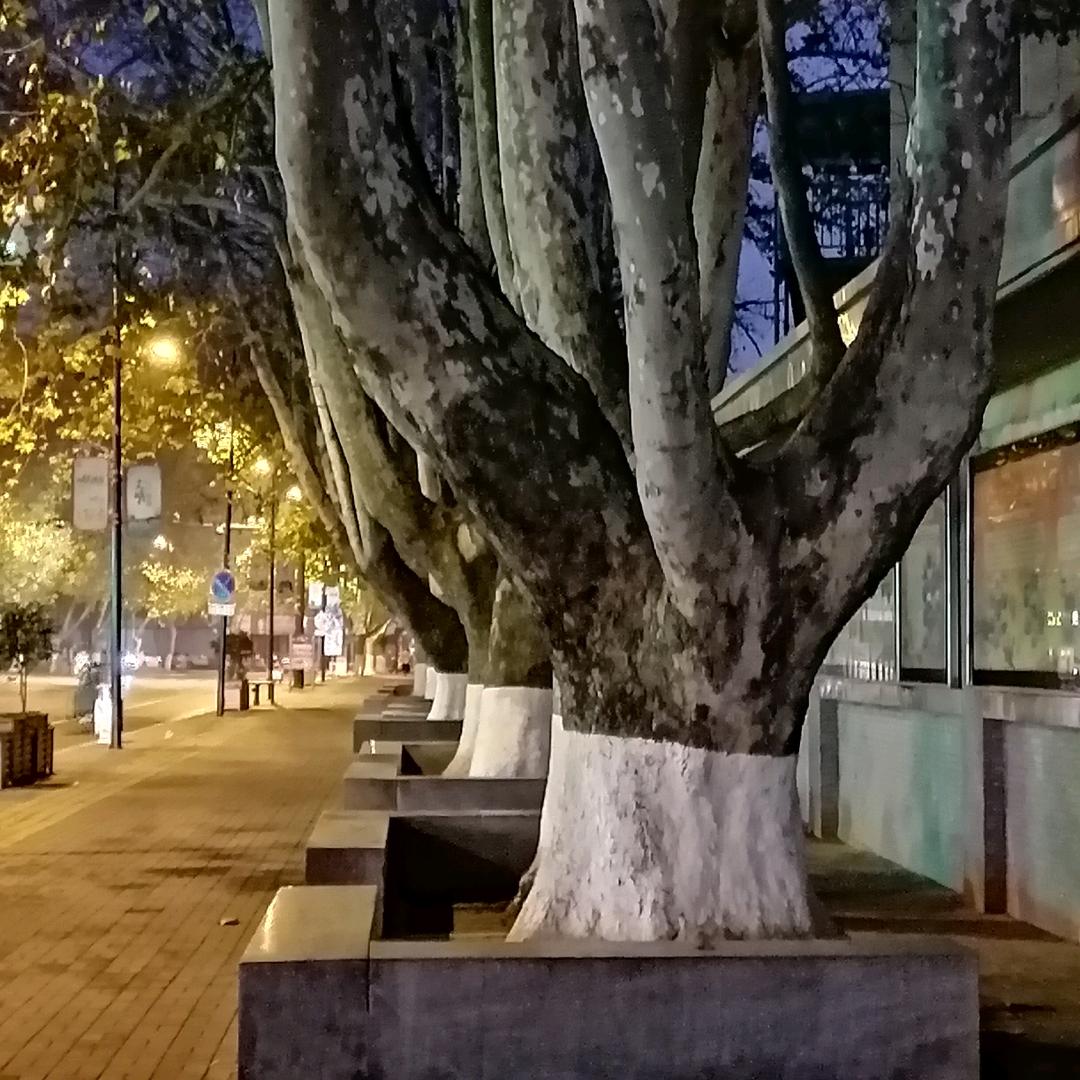 江南布衣