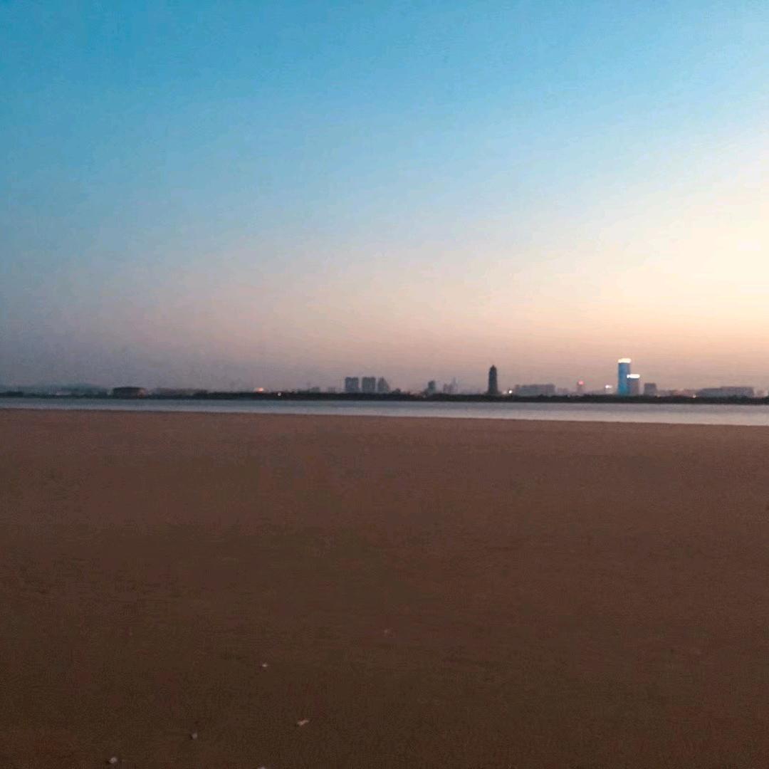 龙