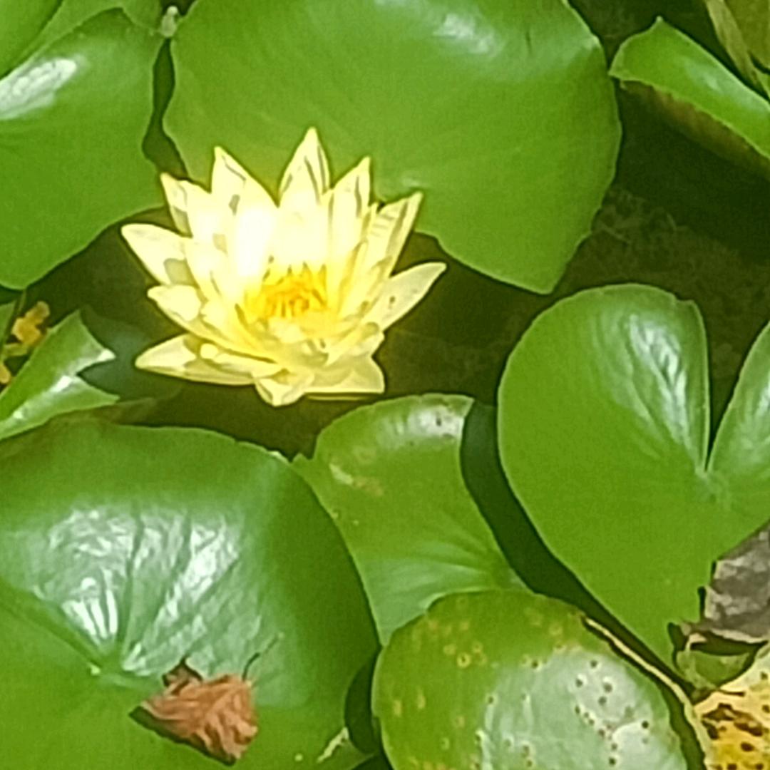 @ 一生只爱你拒绝私聊